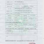 China export license